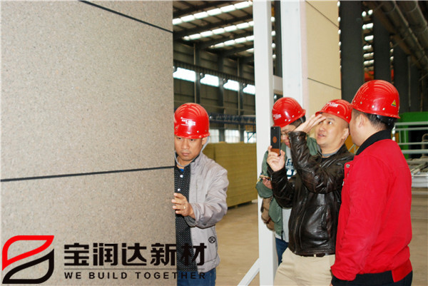 越南客户来访宝润达考察保温装饰一体板产品
